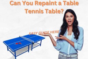 Repaint a Table Tennis Table